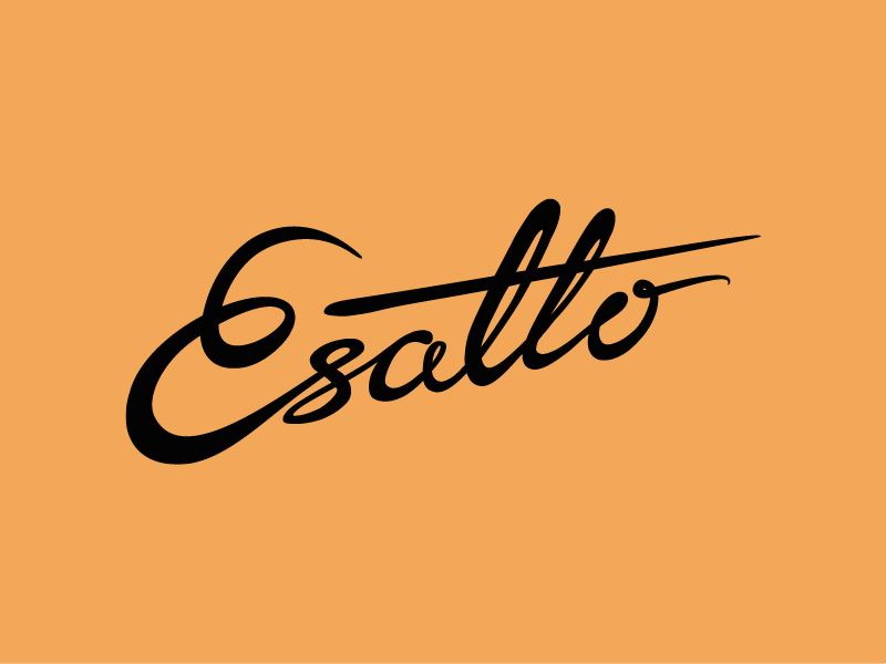 Esatto_logga_on_orange_800x600
