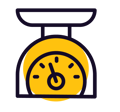Scale Icon