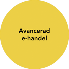 ae-1