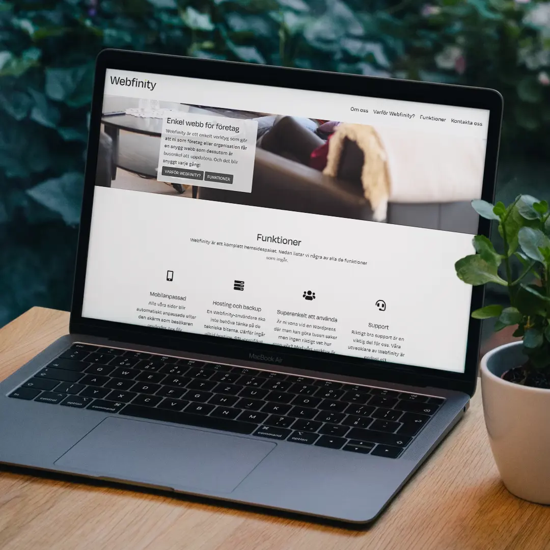 webfinity vy på dator